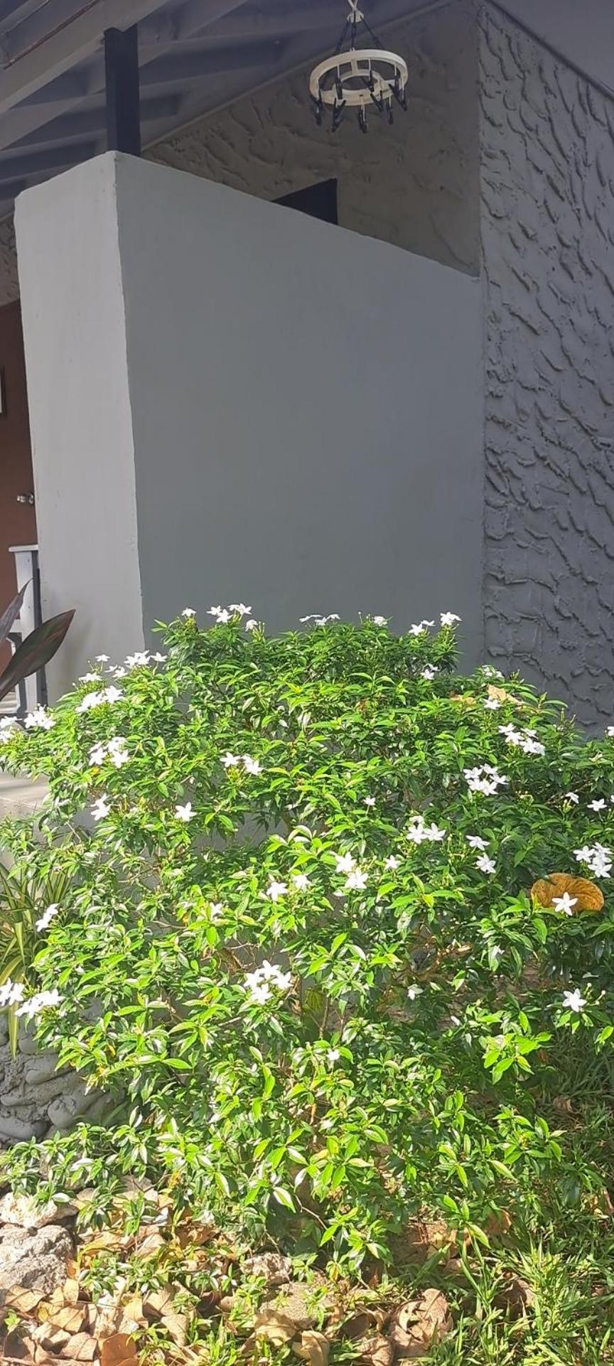 Siam Flora Resort Ko Lanta エクステリア 写真